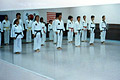 2004 Photos